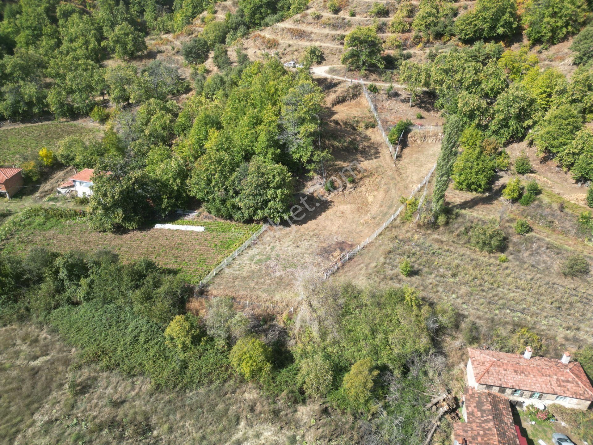 Antika Gayrimenkul'den Tekke'de Konut İmarlı Satılık Arsa - Görsel 13