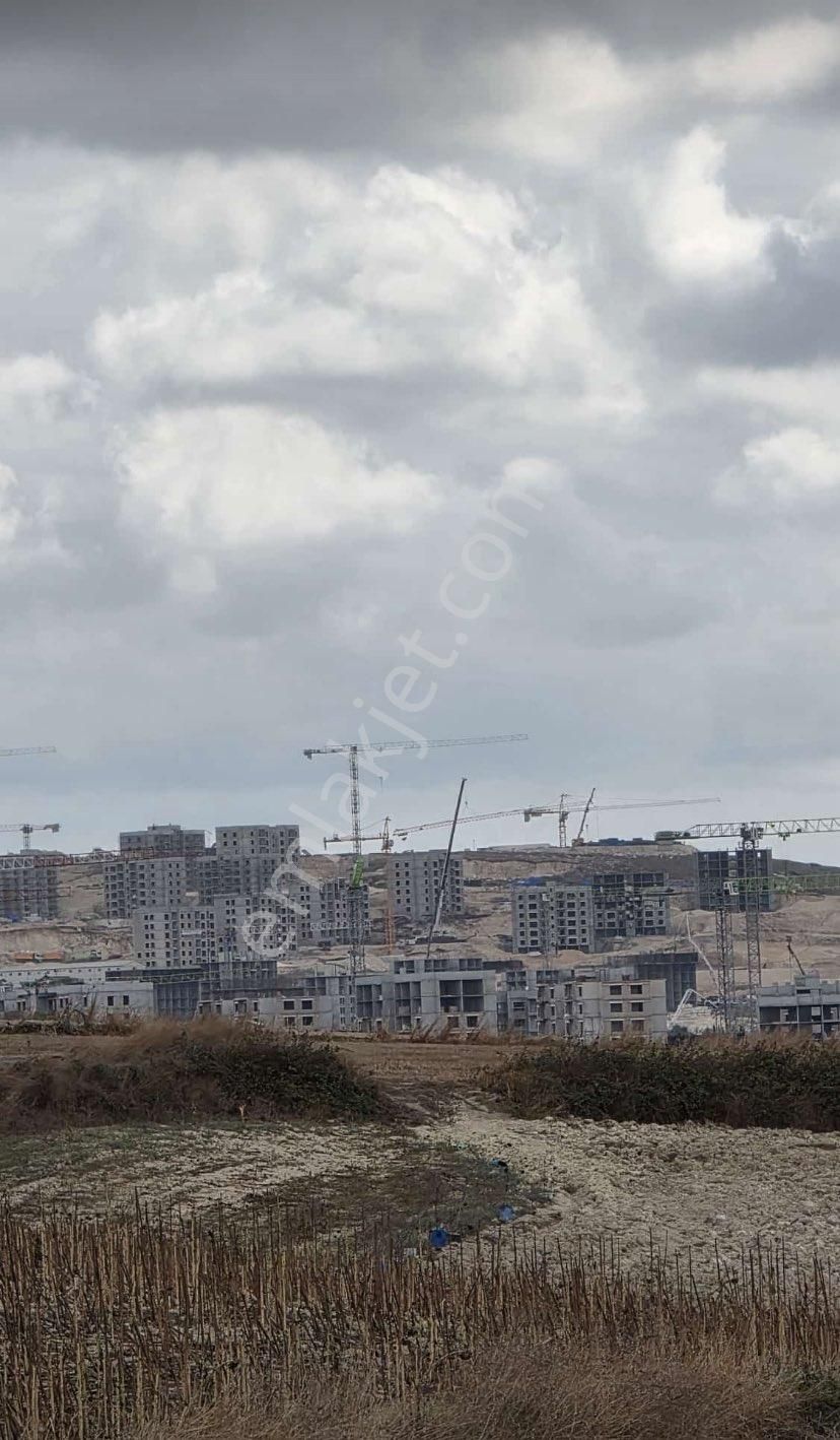 Sazlıbosna'da Emsallerine Göre Uygun Fırsat Konut İmarlı Tarla - Görsel 14