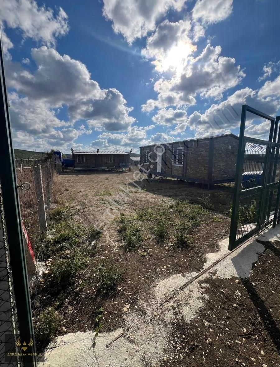 Bu Fiyata Çok Güzel Konumlu İçinde Eşyalı İki Ev Komple Satılık