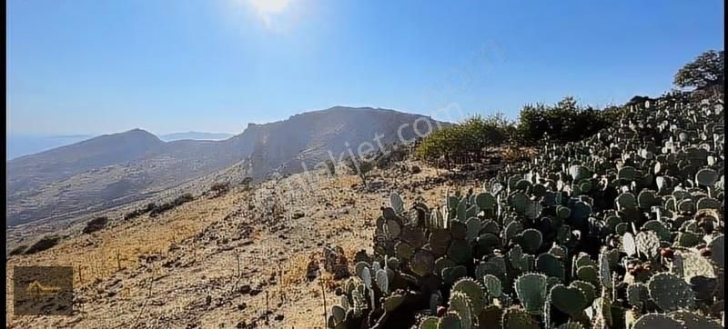 Bodrum Akyarlarda Kapanmaz Deniz Manzaralı Yatırımlık Arazi - Görsel 2