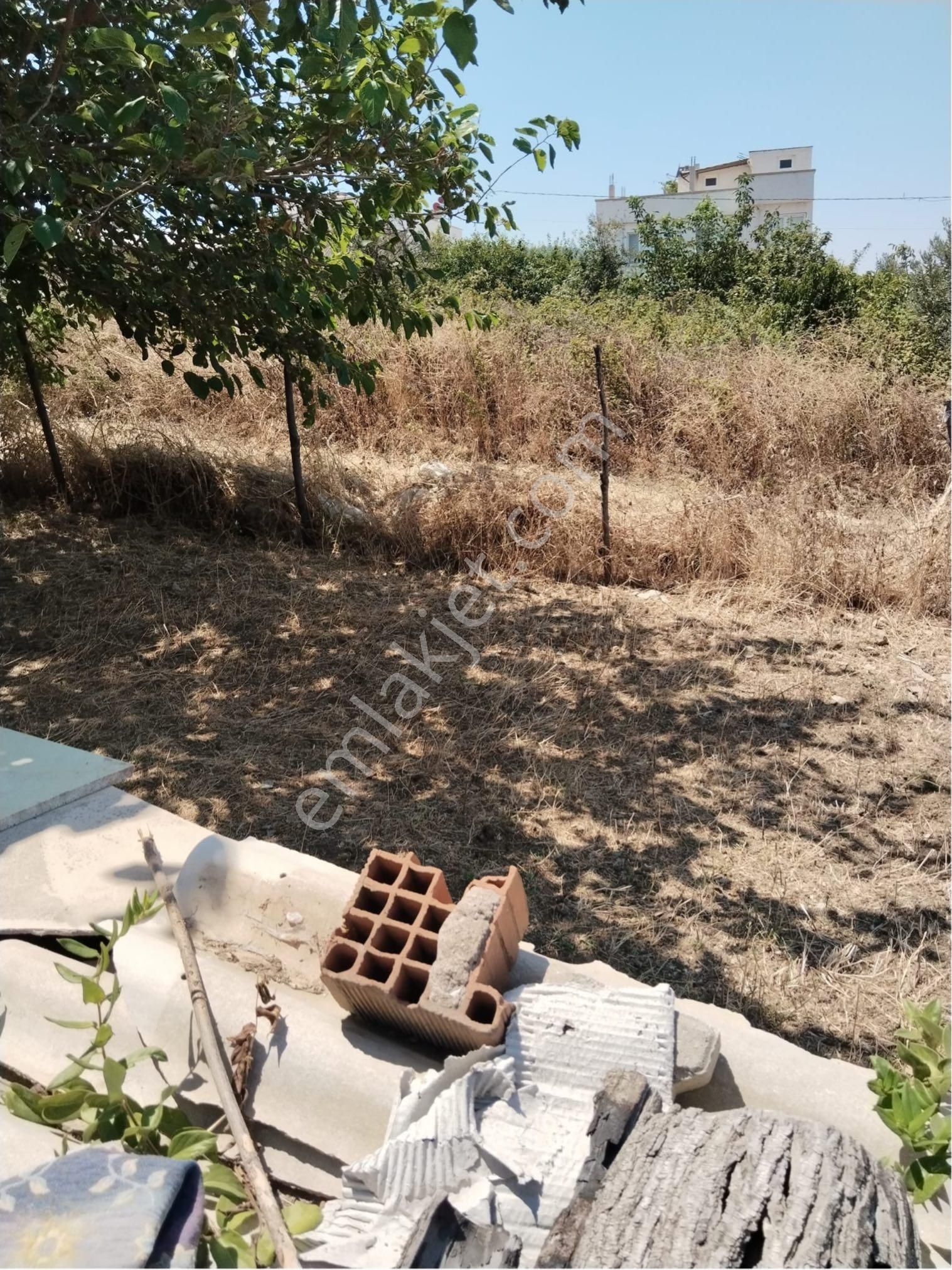 Bursa Mudanya Mesudiye Mevkinde Satılık Tarla - Görsel 3