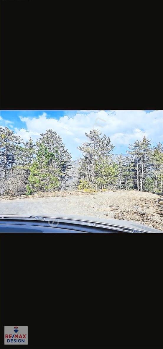 Remax Desıgn Bolu Mengen'de 3641m2 Satılık Tarla - Görsel 7