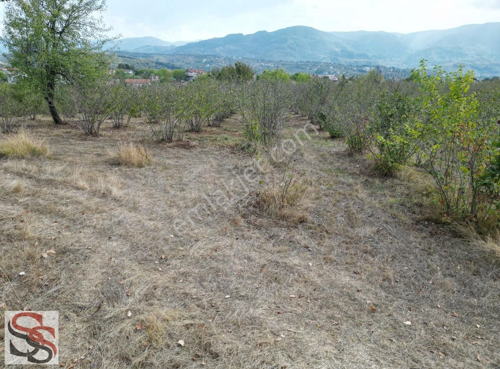 Akyazı Kuzuluk Mah.muhteşem Konumda Yatırımlık 6.937 M² Tarla - Görsel 28