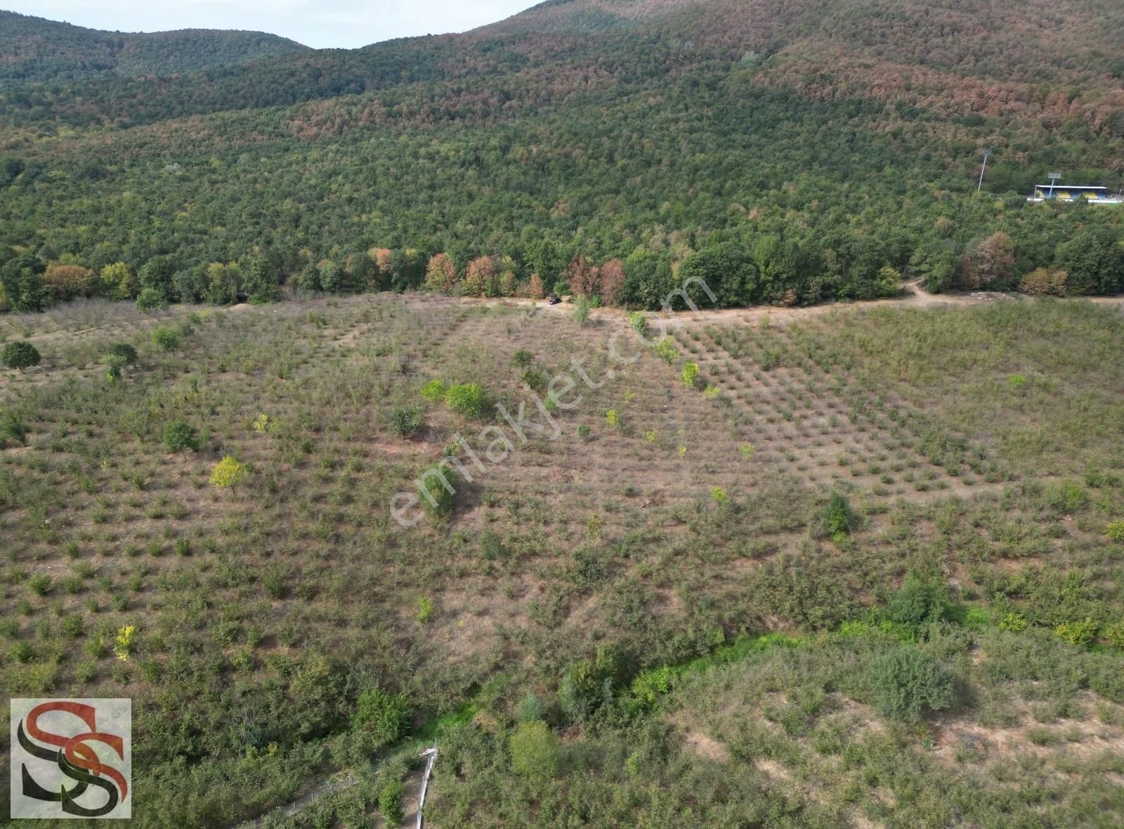 Akyazı Kuzuluk Mah.muhteşem Konumda Yatırımlık 6.937 M² Tarla - Görsel 31