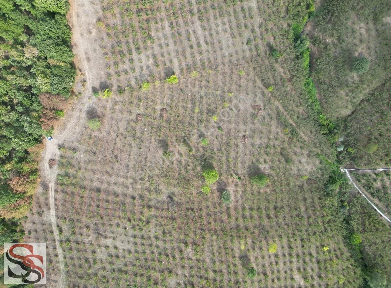 Akyazı Kuzuluk Mah.muhteşem Konumda Yatırımlık 6.937 M² Tarla - Görsel 19