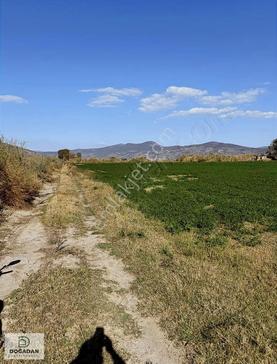 Doğadan Gayrimenkulden Avşarda Tarım Arazisi - Görsel 13