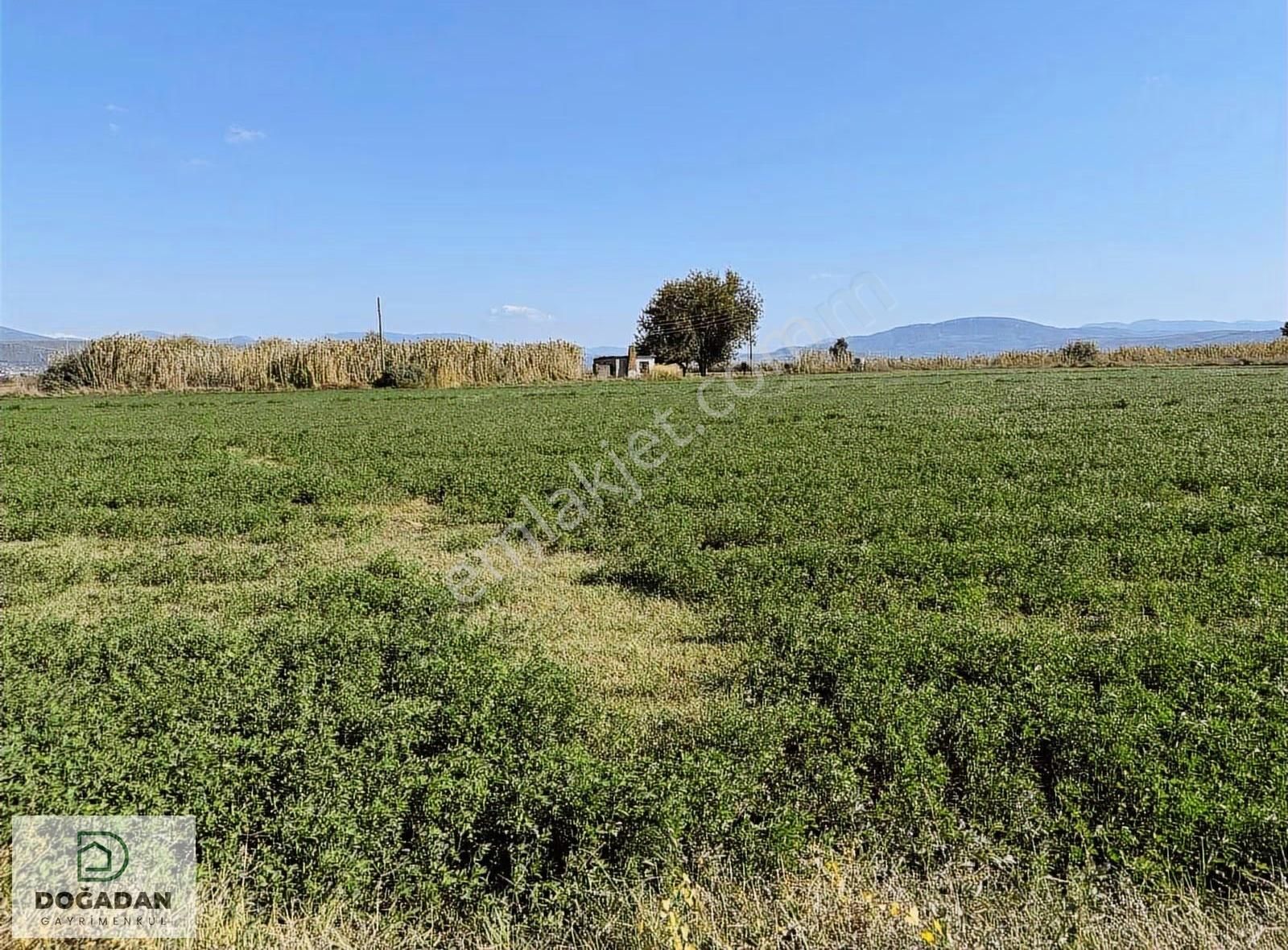 Doğadan Gayrimenkulden Avşarda Tarım Arazisi - Görsel 9