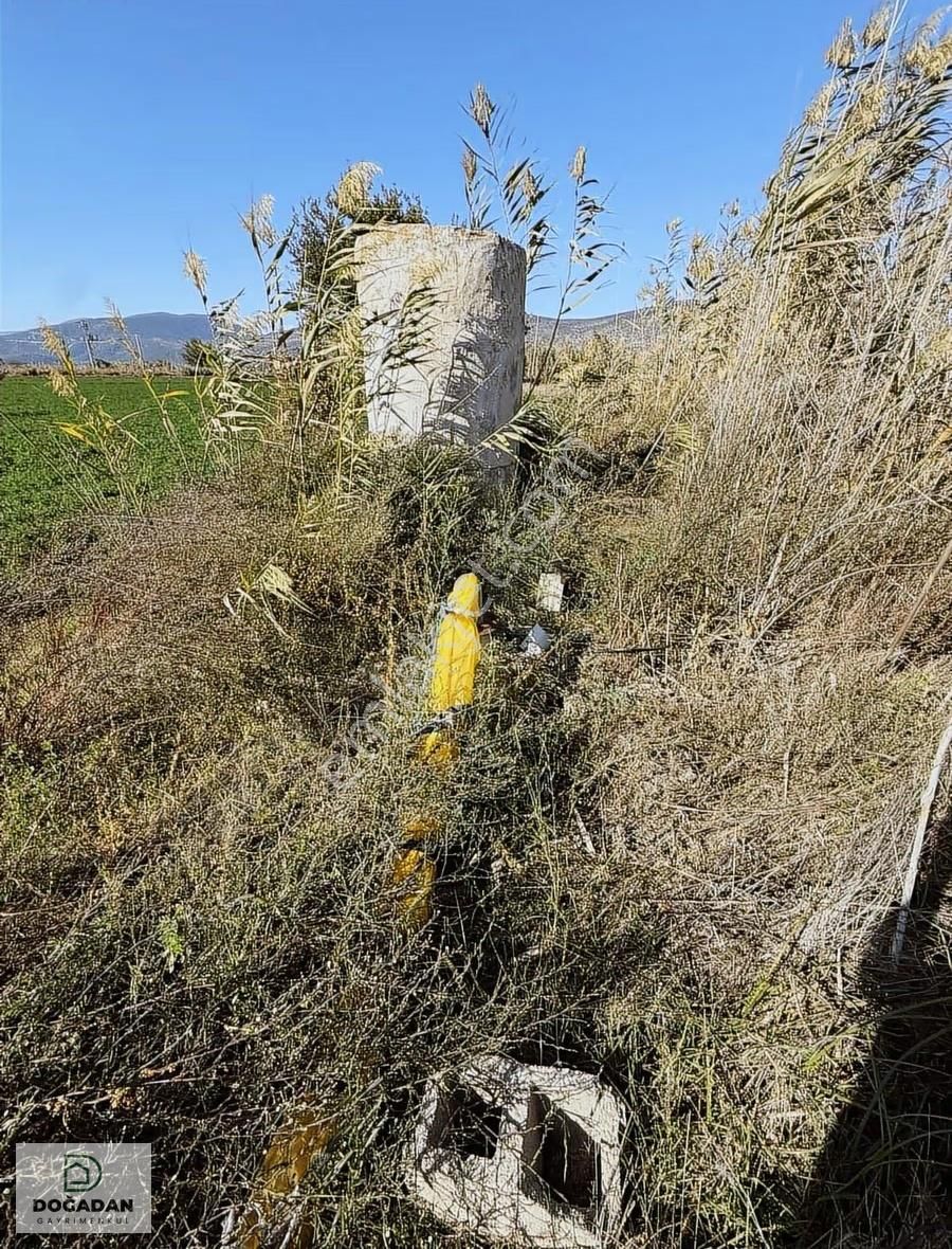 Doğadan Gayrimenkulden Avşarda Tarım Arazisi - Görsel 4