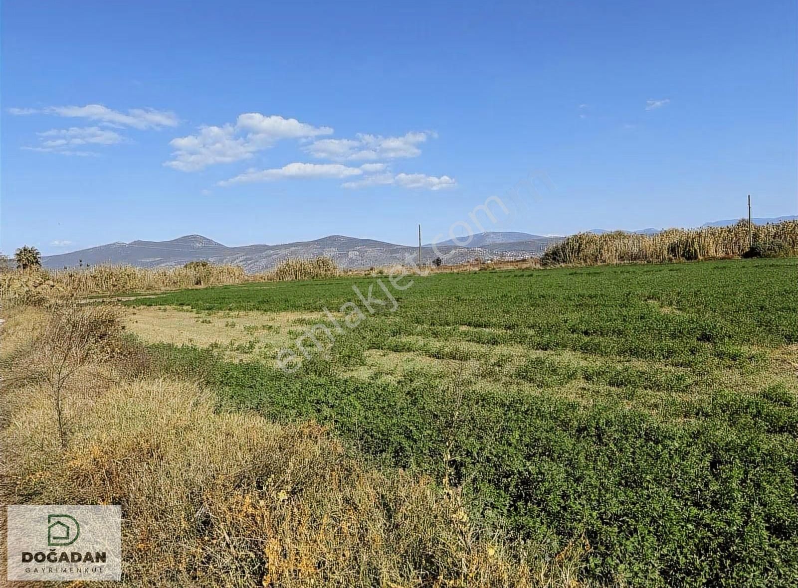 Doğadan Gayrimenkulden Avşarda Tarım Arazisi - Görsel 3