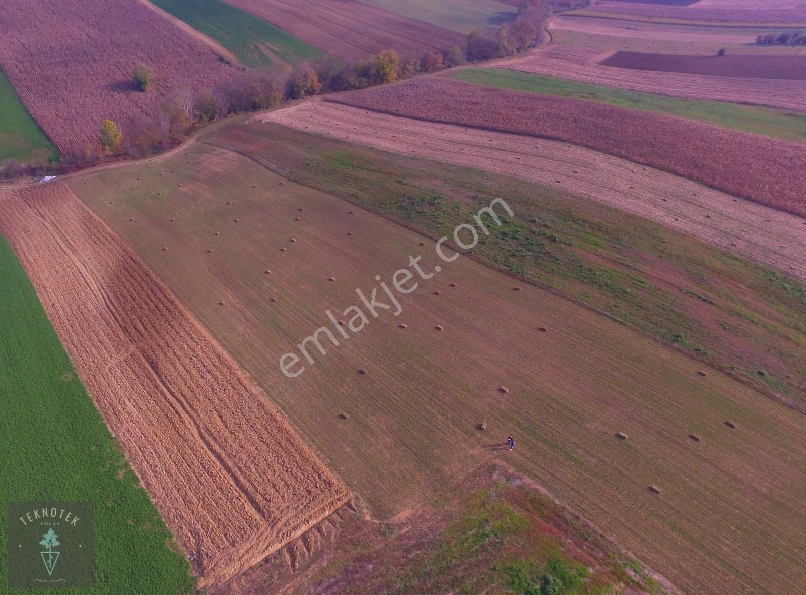 Derince Çavuşlu Mah. 2344m2 Köy Merkezine 3 Dakika Mesafe! - Görsel 15