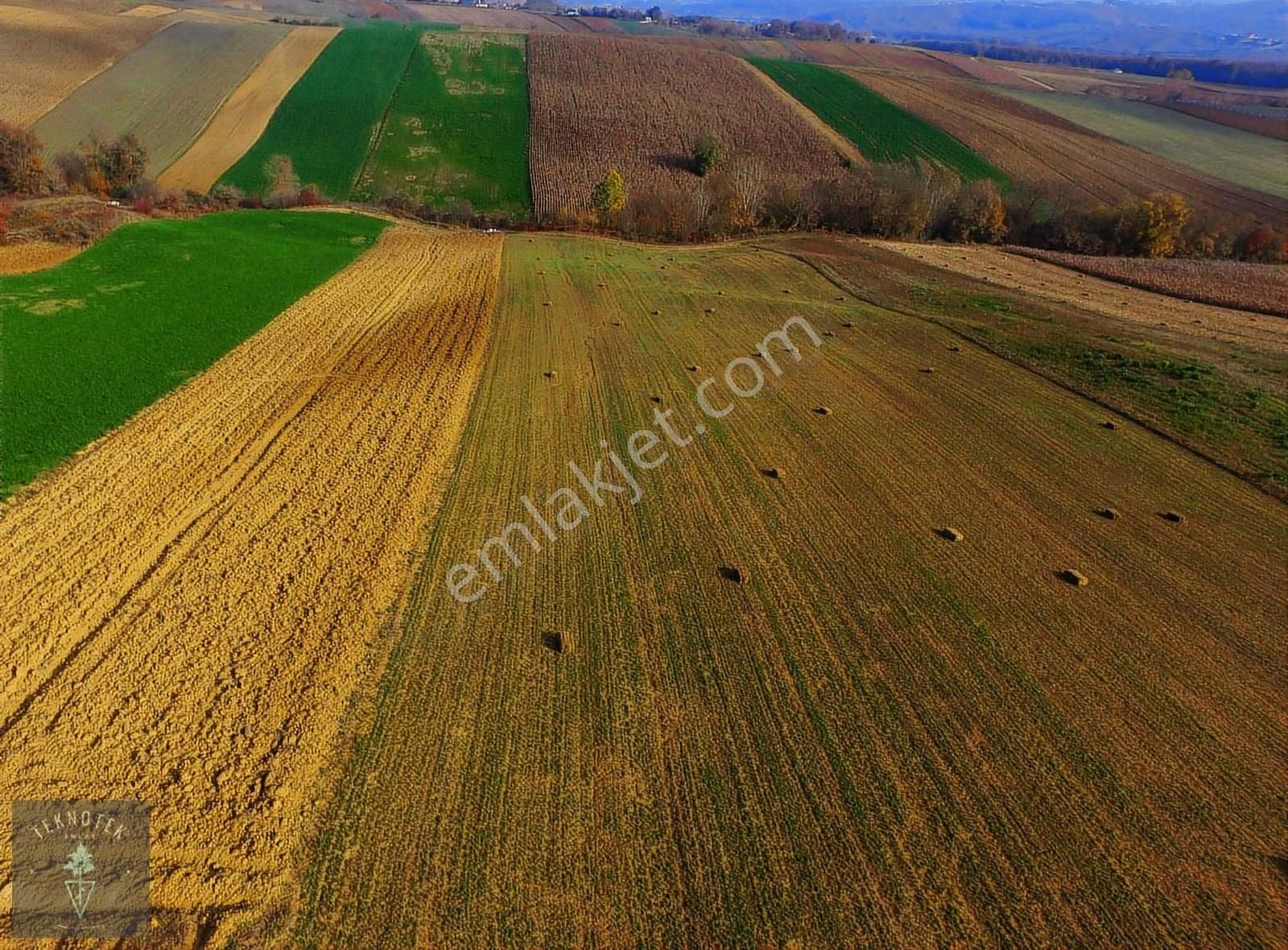 Derince Çavuşlu Mah. 2344m2 Köy Merkezine 3 Dakika Mesafe! - Görsel 2