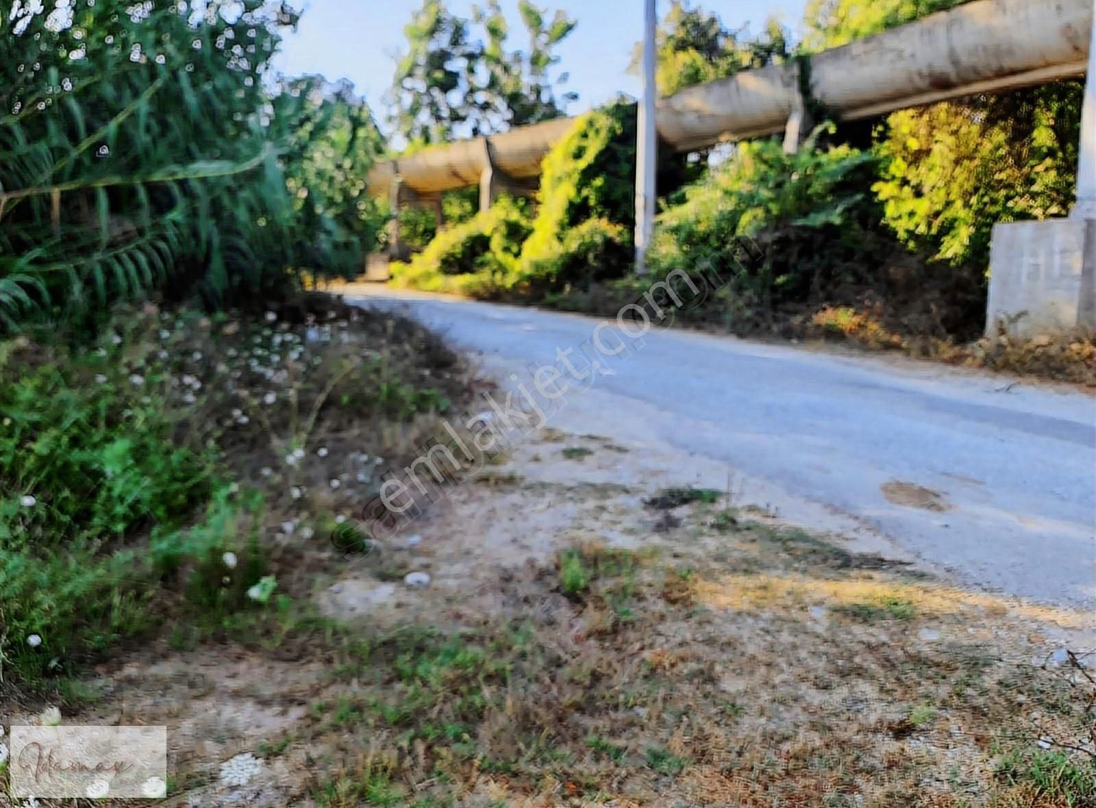 İdamax'tan Manavgat Çavuşköy De Köye 200m Harika Tarla - Görsel 10