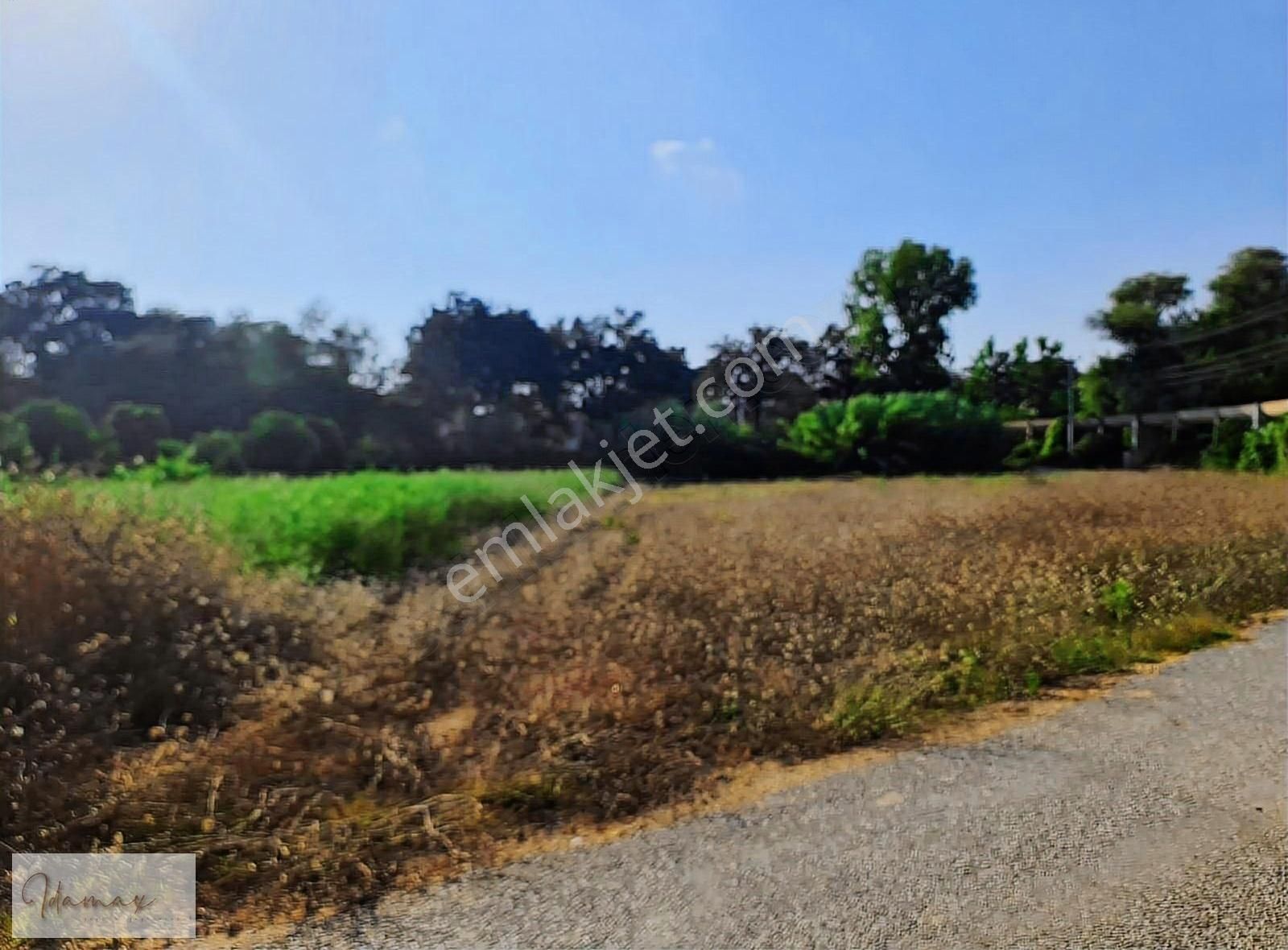 İdamax'tan Manavgat Çavuşköy De Köye 200m Harika Tarla - Görsel 15