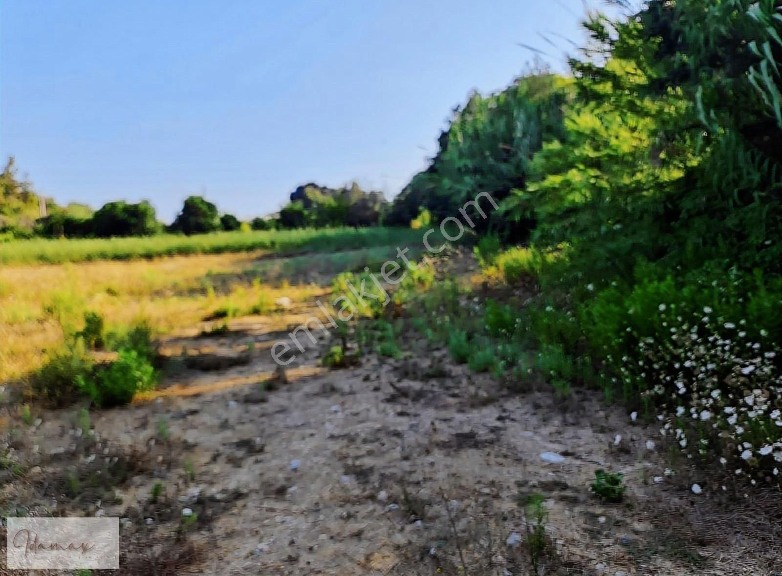 İdamax'tan Manavgat Çavuşköy De Köye 200m Harika Tarla - Görsel 12