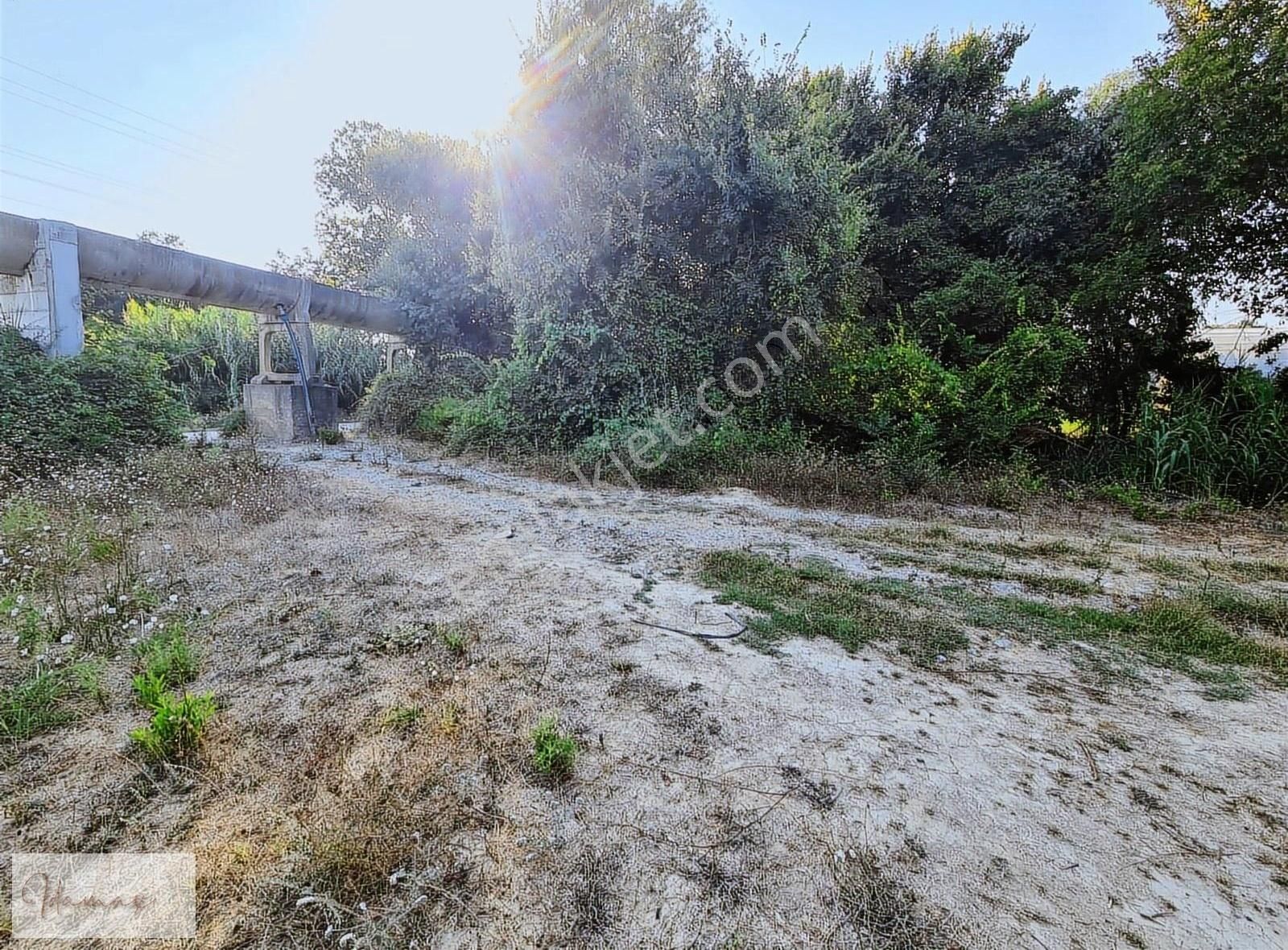 İdamax'tan Manavgat Çavuşköy De Köye 200m Harika Tarla - Görsel 6