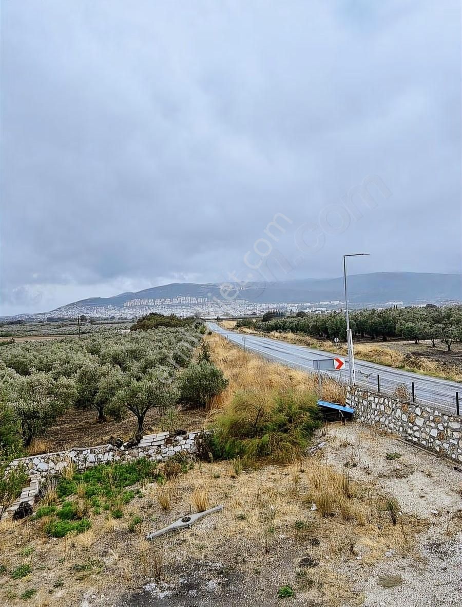 Bursa Orhangazi De Satılık Yüzde 60 İmarlı Arsa - Görsel 11