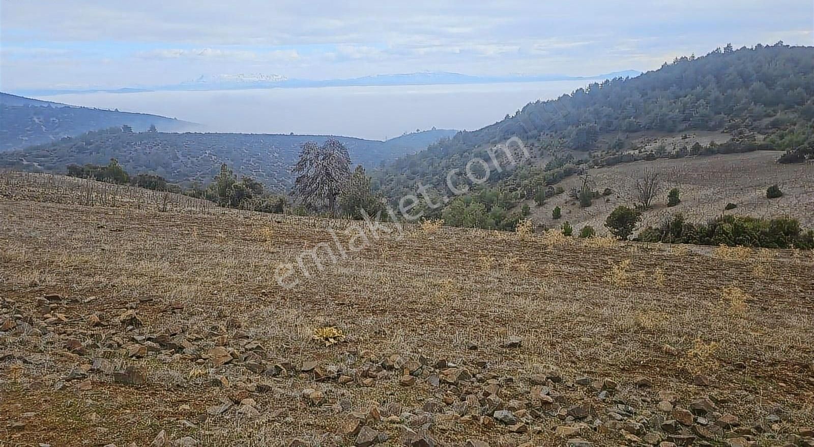 Burdur Merkez Cimbilli Mevkisinde Satılık Arazi - Görsel 4