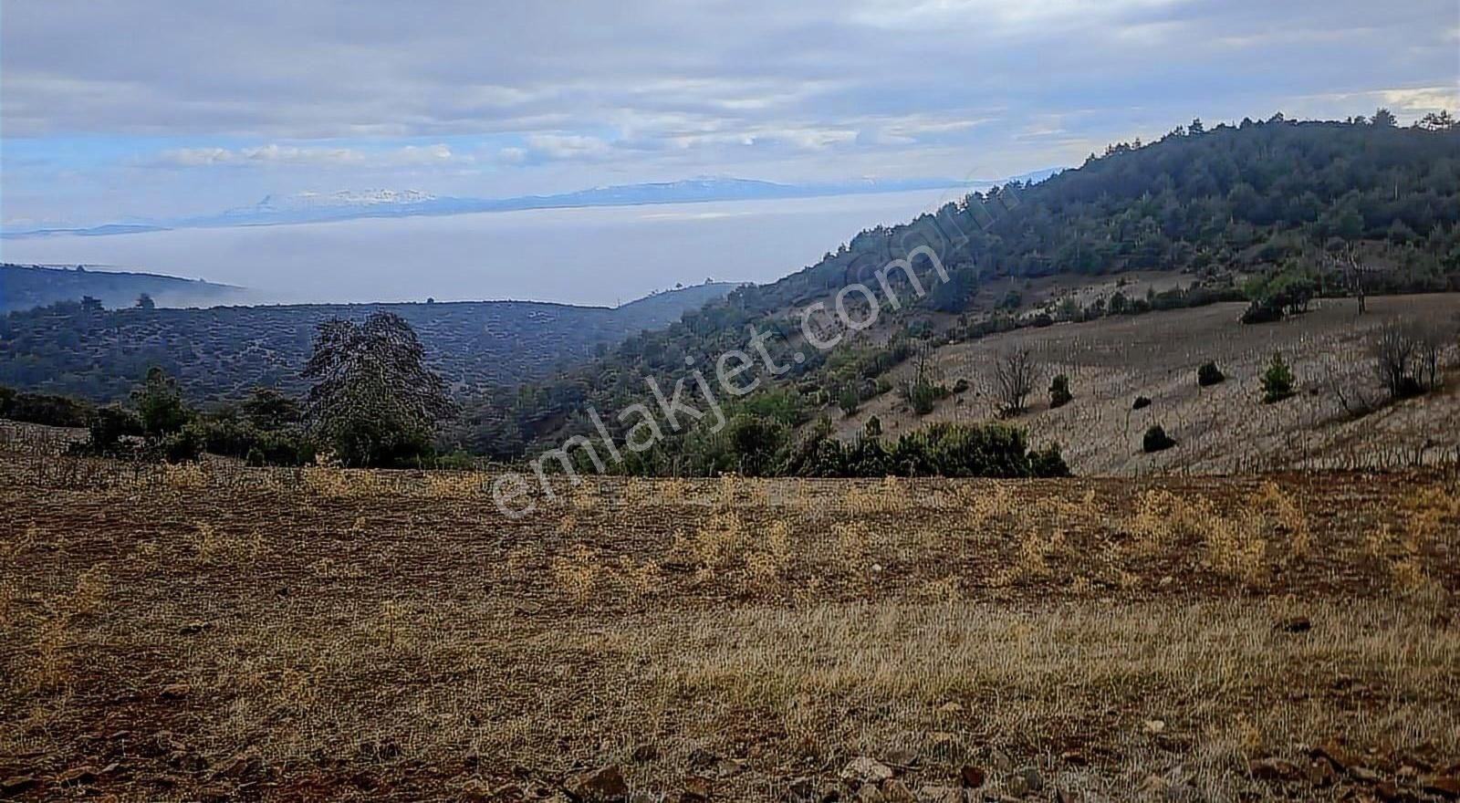 Burdur Merkez Cimbilli Mevkisinde Satılık Arazi - Görsel 6