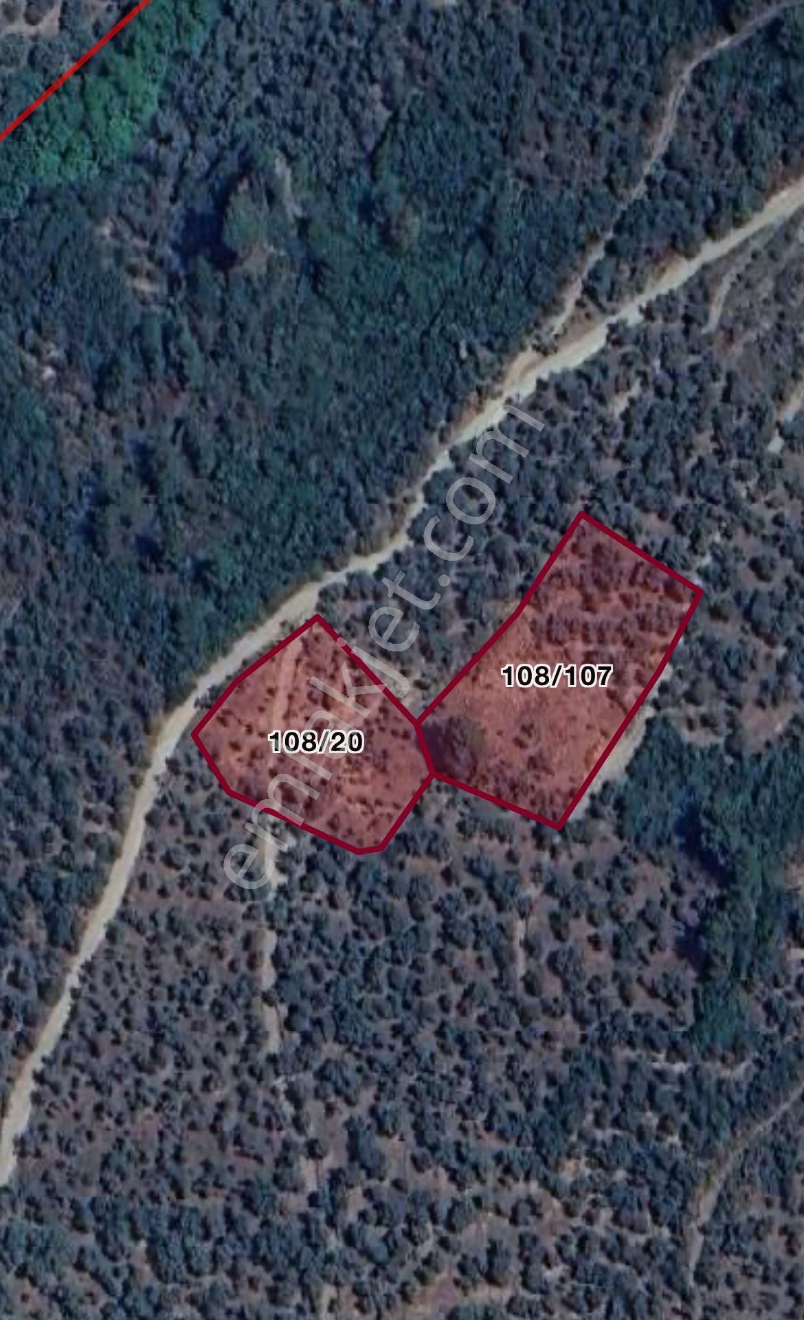 Bayındır / Söğütören'de Satılık 4 Dönüm Müstakil Tapu Zeytinlik - Görsel 14