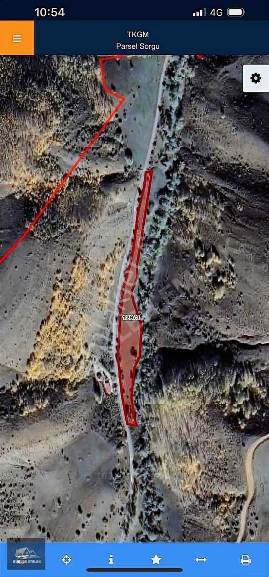 Yol Kenarında Arazim Olsun Diyorsan