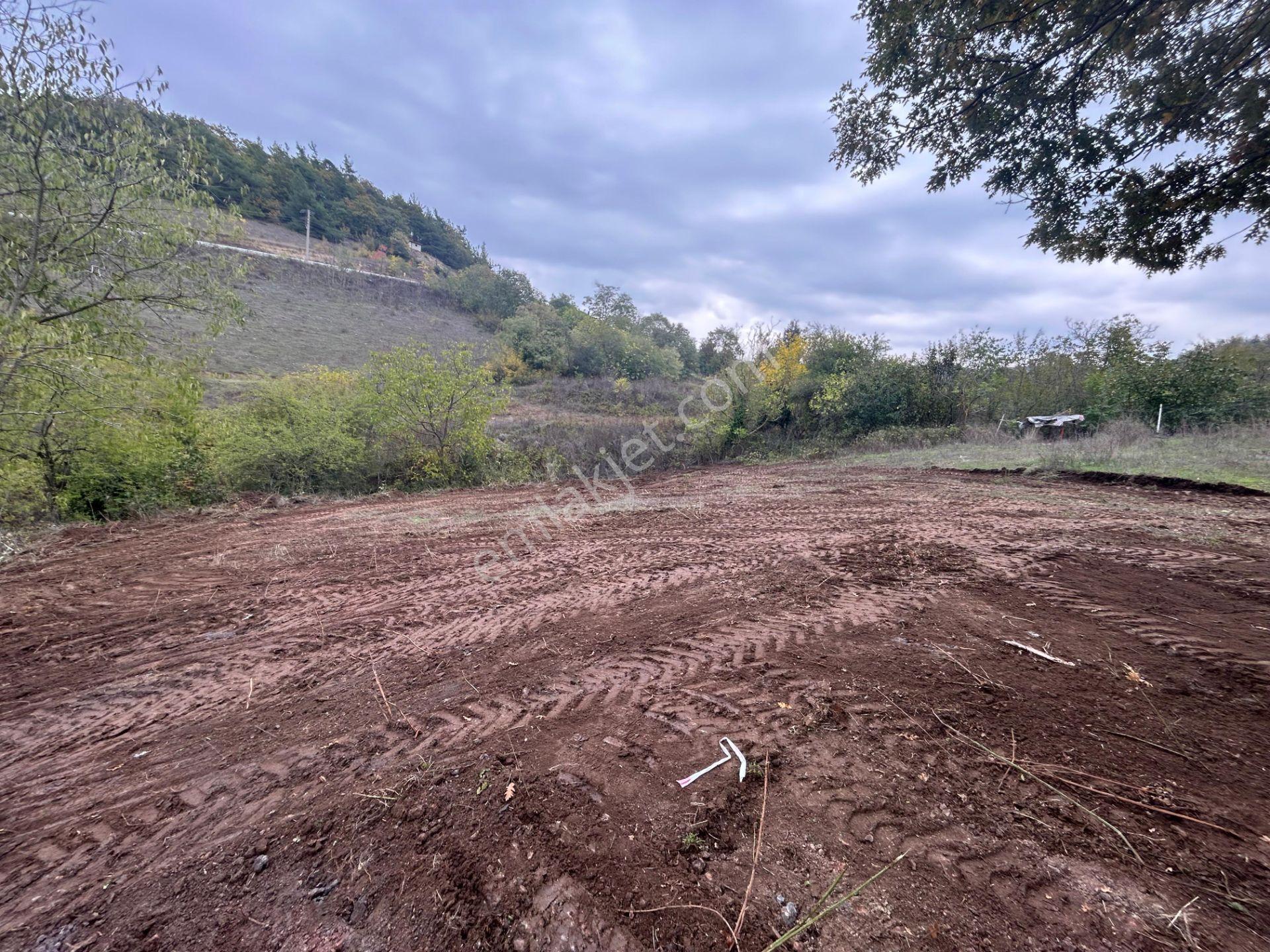 Kocaeli Karamürsel Çamdibi 325 M² Kaçmaz Konut İmarlı Bahçe - Görsel 7