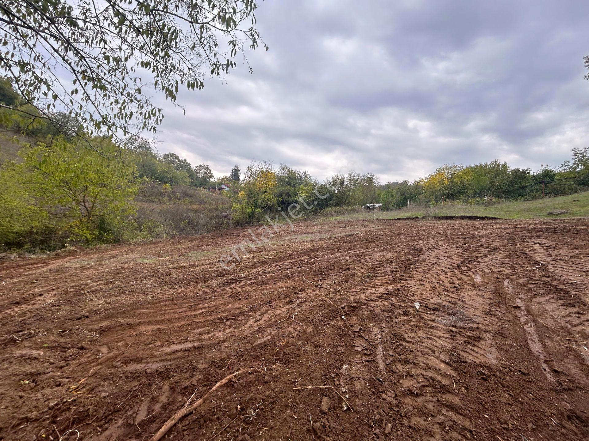 Kocaeli Karamürsel Çamdibi 325 M² Kaçmaz Konut İmarlı Bahçe - Görsel 6