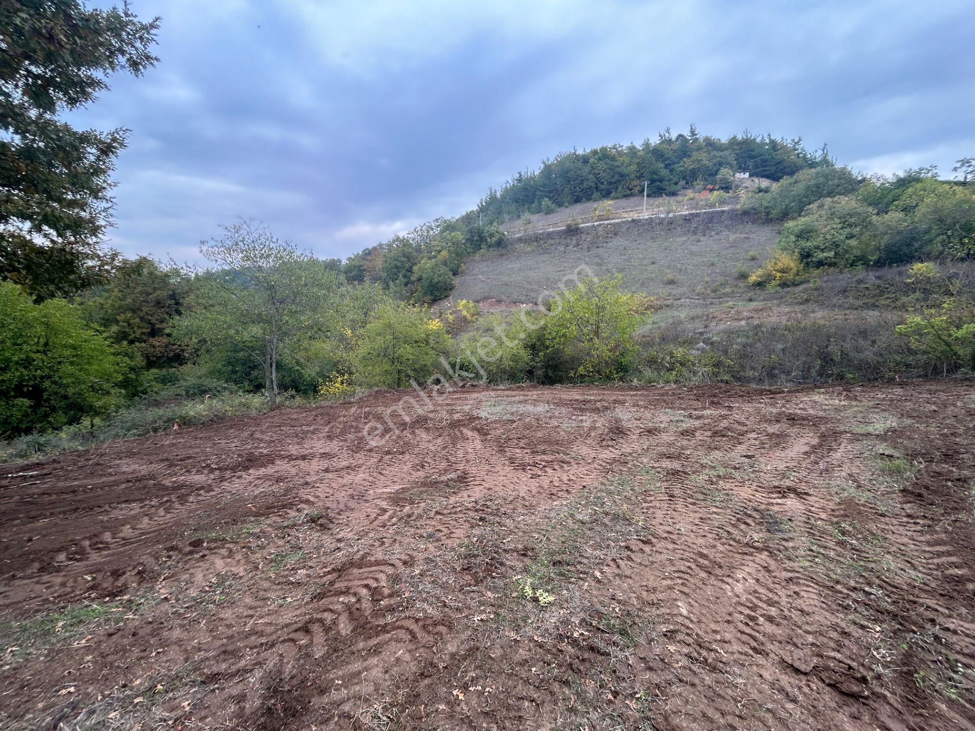 Kocaeli Karamürsel Çamdibi 325 M² Kaçmaz Konut İmarlı Bahçe - Görsel 15