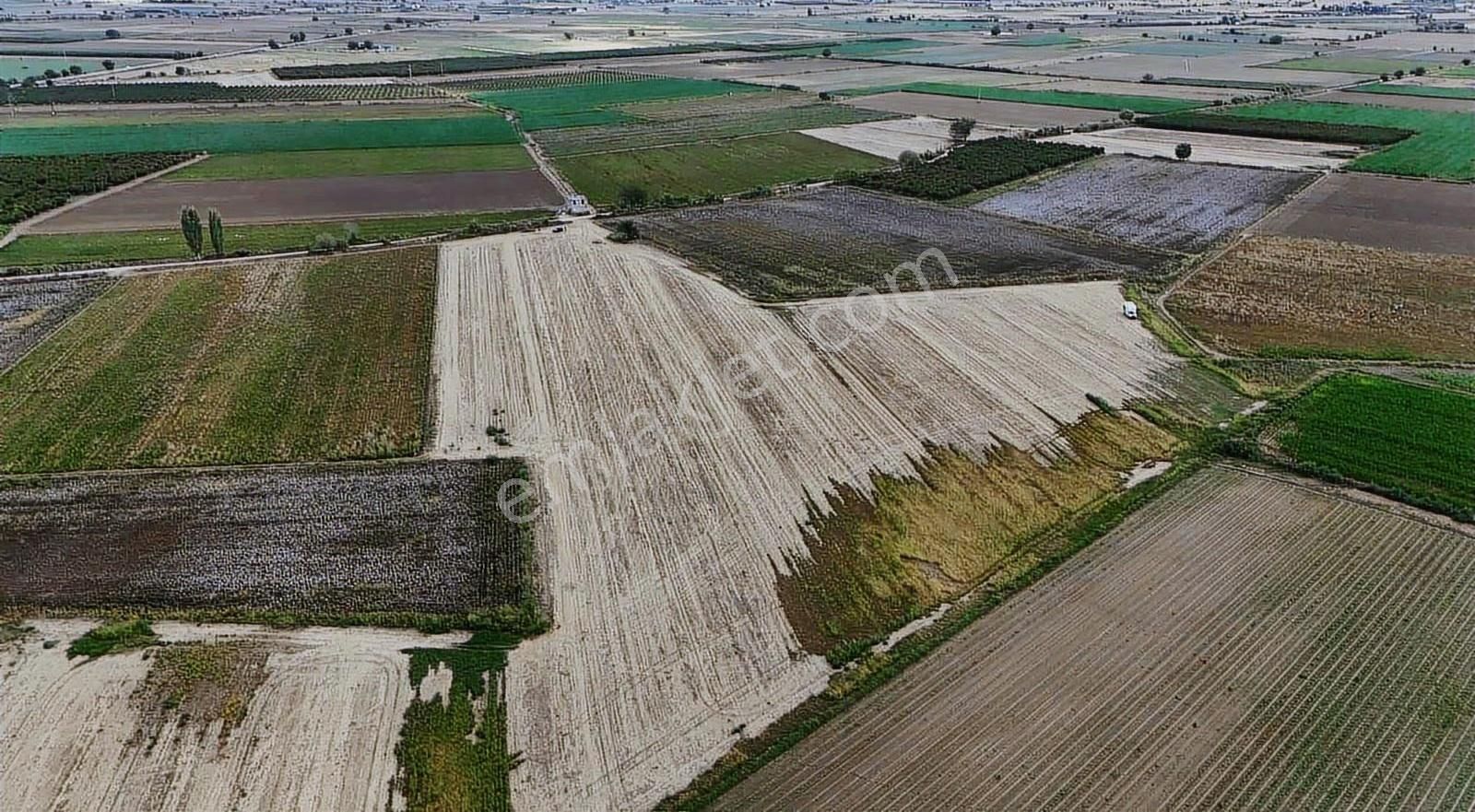 Pek Emlaktan 4 Lük Suyu Olan Asfal Kenarı Satılık Tarla - Görsel 25