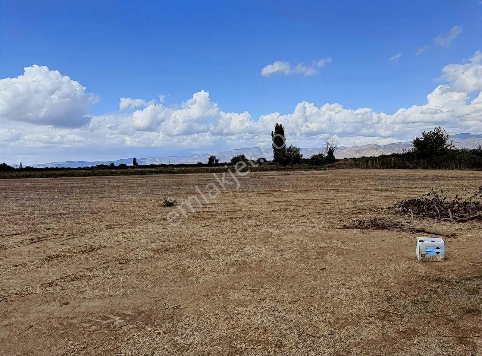 Pek Emlaktan 4 Lük Suyu Olan Asfal Kenarı Satılık Tarla - Görsel 8