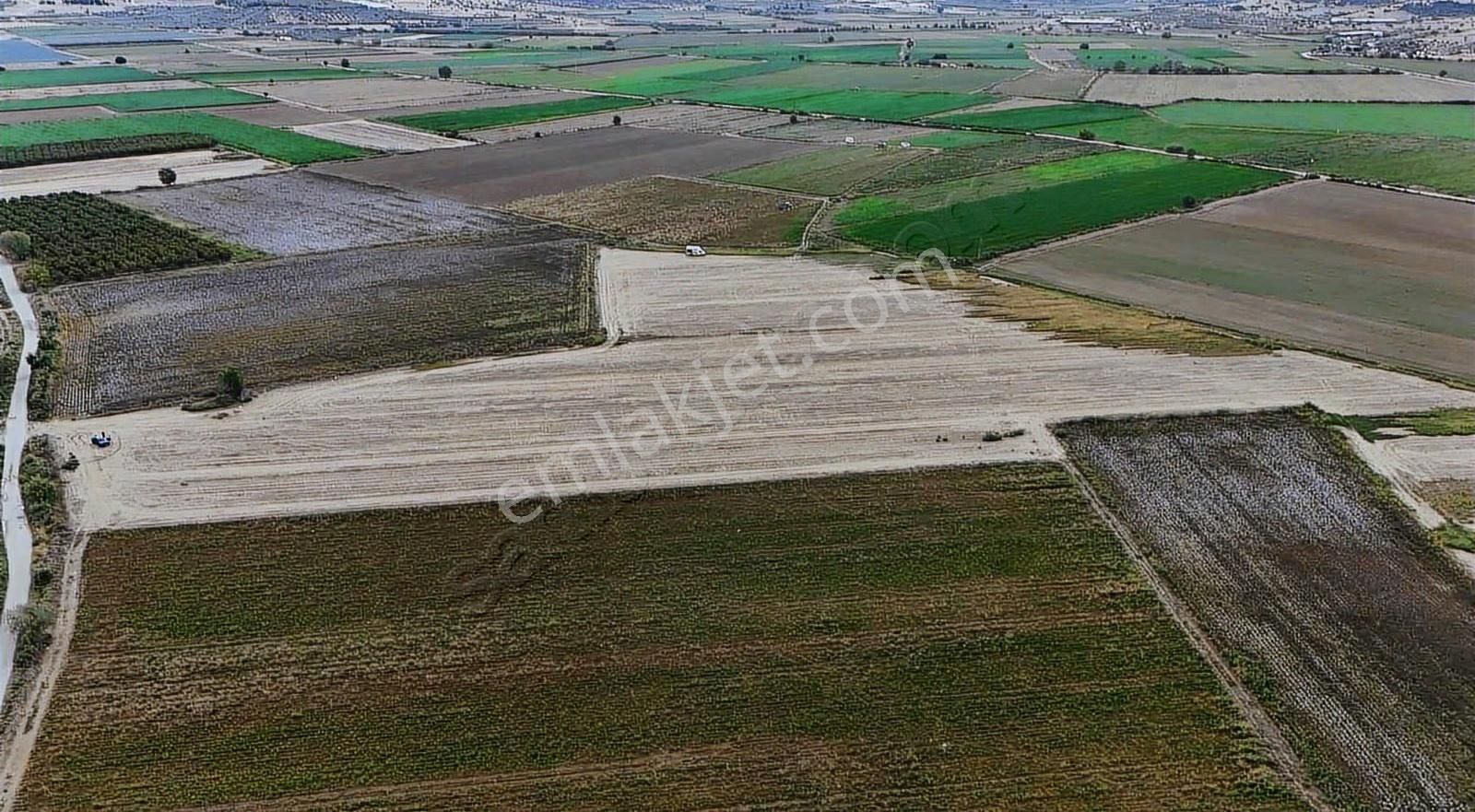 Pek Emlaktan 4 Lük Suyu Olan Asfal Kenarı Satılık Tarla - Görsel 27