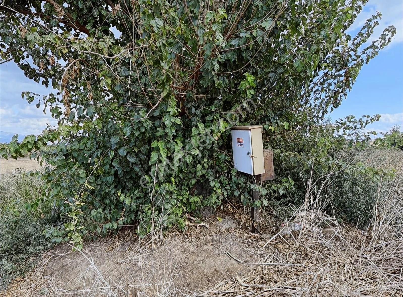 Pek Emlaktan 4 Lük Suyu Olan Asfal Kenarı Satılık Tarla - Görsel 11