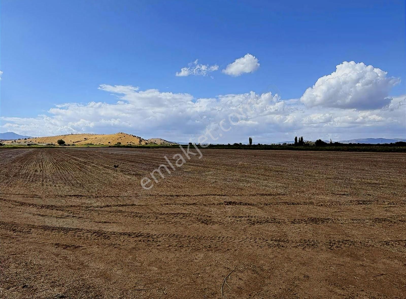 Pek Emlaktan 4 Lük Suyu Olan Asfal Kenarı Satılık Tarla - Görsel 12
