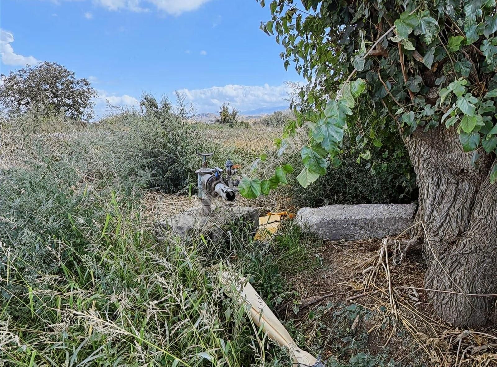 Pek Emlaktan 4 Lük Suyu Olan Asfal Kenarı Satılık Tarla
