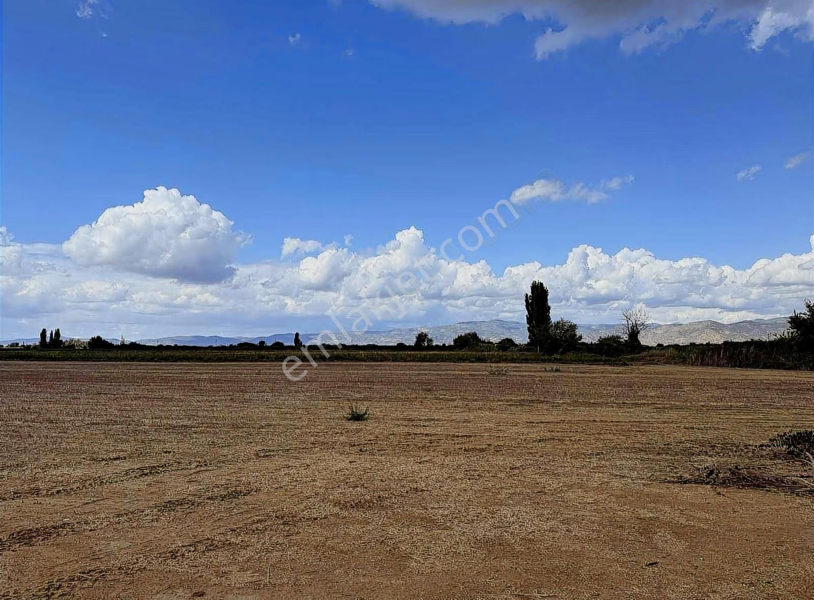 Pek Emlaktan 4 Lük Suyu Olan Asfal Kenarı Satılık Tarla - Görsel 17