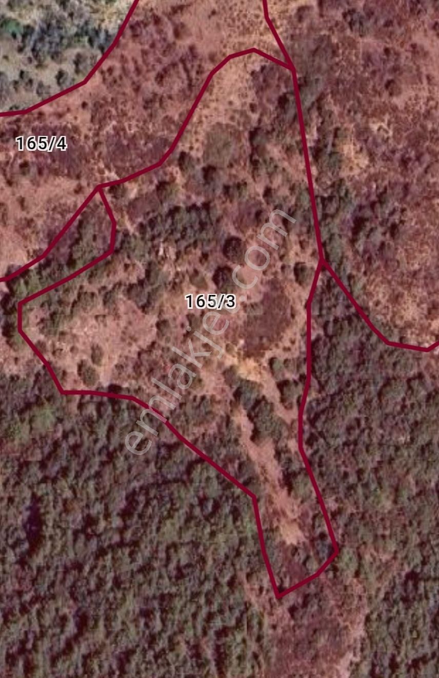 Gazipaşa Seyfede Full Deniz Manzaralı Yatırımlık Tarla - Görsel 2