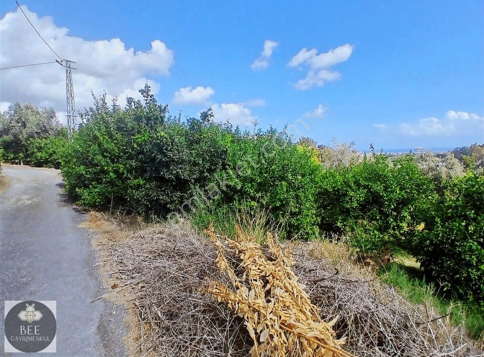 Bee Gayrimenkulden Elvanlı Merkezde Mükemmel Konumda Arsa