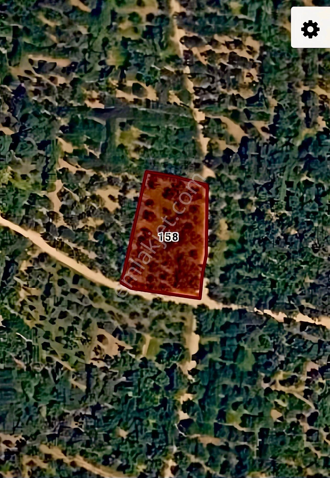 Bugün Al Yarın Kârda Ol! Su Kuyulu, Köşeparsel,düz,prefabrikizinli Zeytinlik - Görsel 13