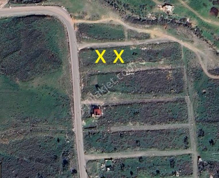 Çiğlide Yola Cephe Villa İmarlı 2 Bitişik Arsa (140 M² + 222 M² = 362 M²) - Görsel 3