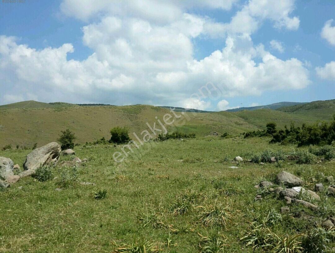 Çiğlide Yola Cephe Villa İmarlı 2 Bitişik Arsa (140 M² + 222 M² = 362 M²) - Görsel 9