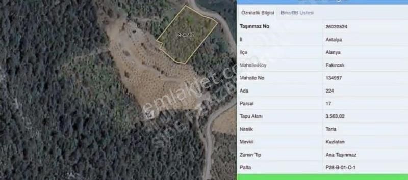 Fakırcalı Tarla Bungalova Uygun - Görsel 2