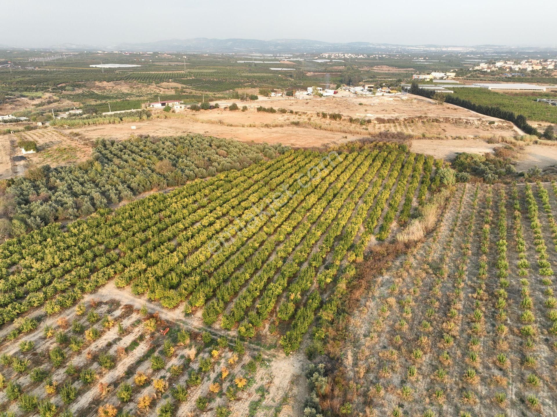 🚛🚚 Şehrin Lojistik Kalbinde – Depo, Tır Parkı Ve Sanayi Alanı Yatırım Fırsatı 🏗️ - Görsel 8