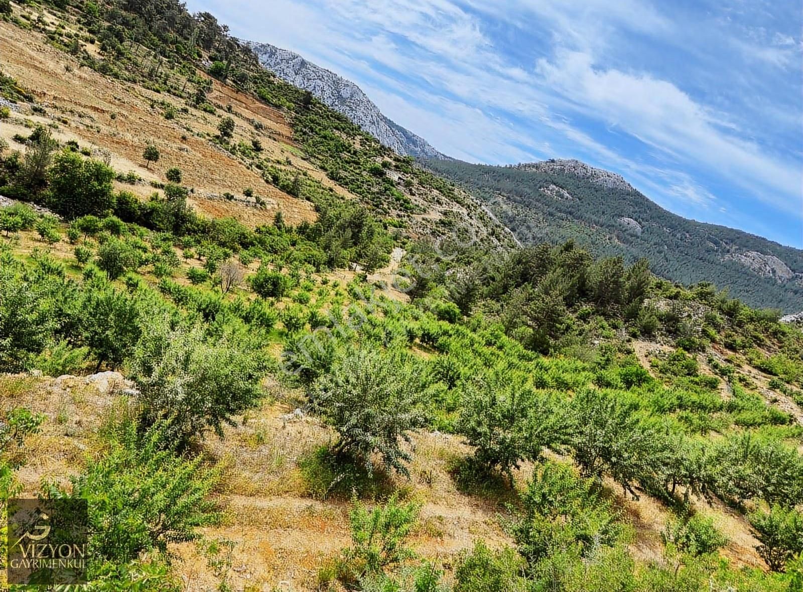 Mersin Silifke İmamuşağı 42.179 M2 Satılık Badem Bahçesi - Görsel 20