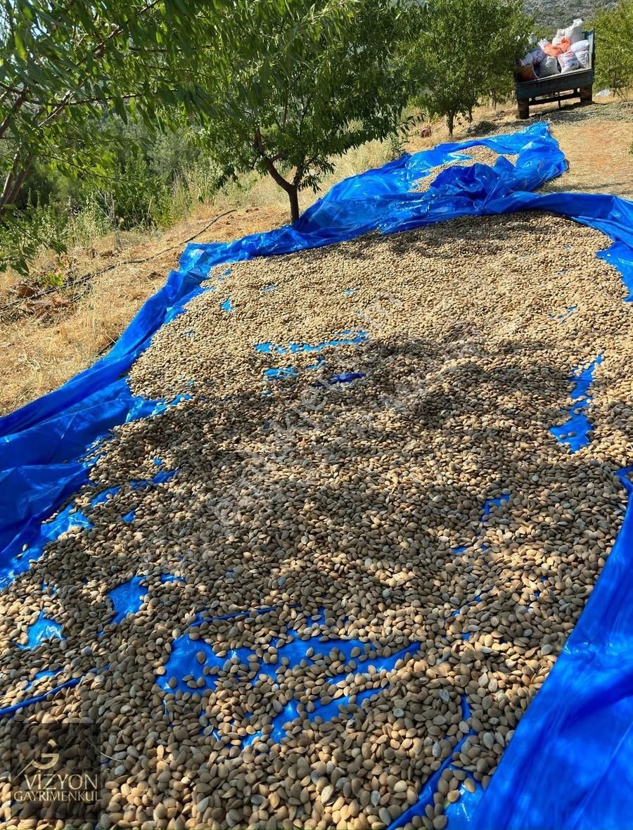 Mersin Silifke İmamuşağı 42.179 M2 Satılık Badem Bahçesi - Görsel 18