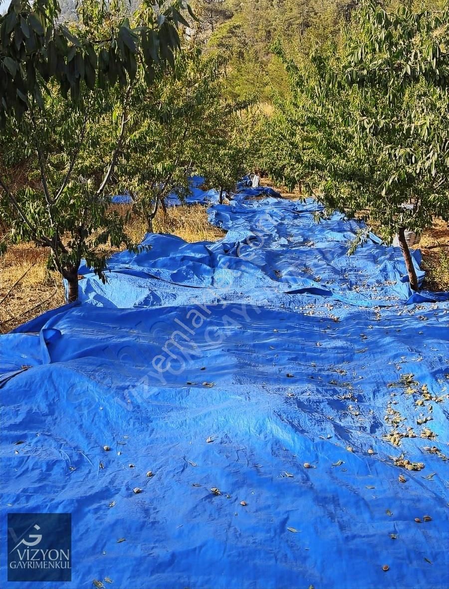 Mersin Silifke İmamuşağı 42.179 M2 Satılık Badem Bahçesi - Görsel 12