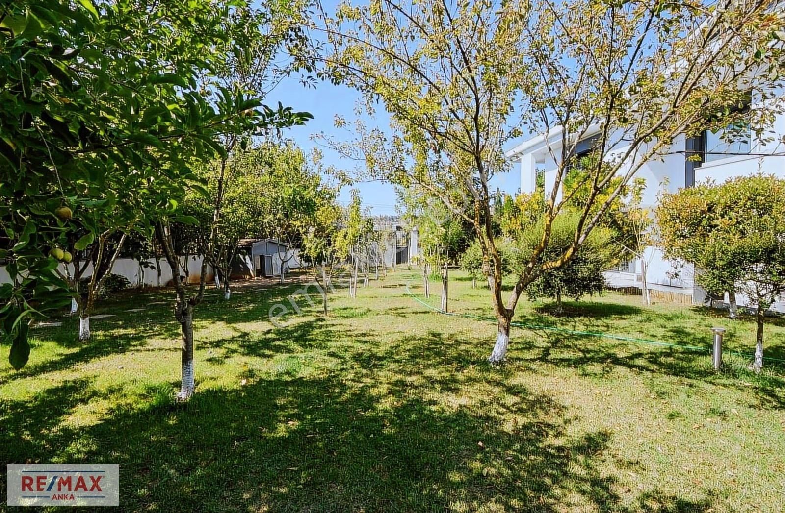 Bad-ı Sabah (rüzgarın Ve Görkemin Adını Taşıyan Malikâne) - Görsel 25