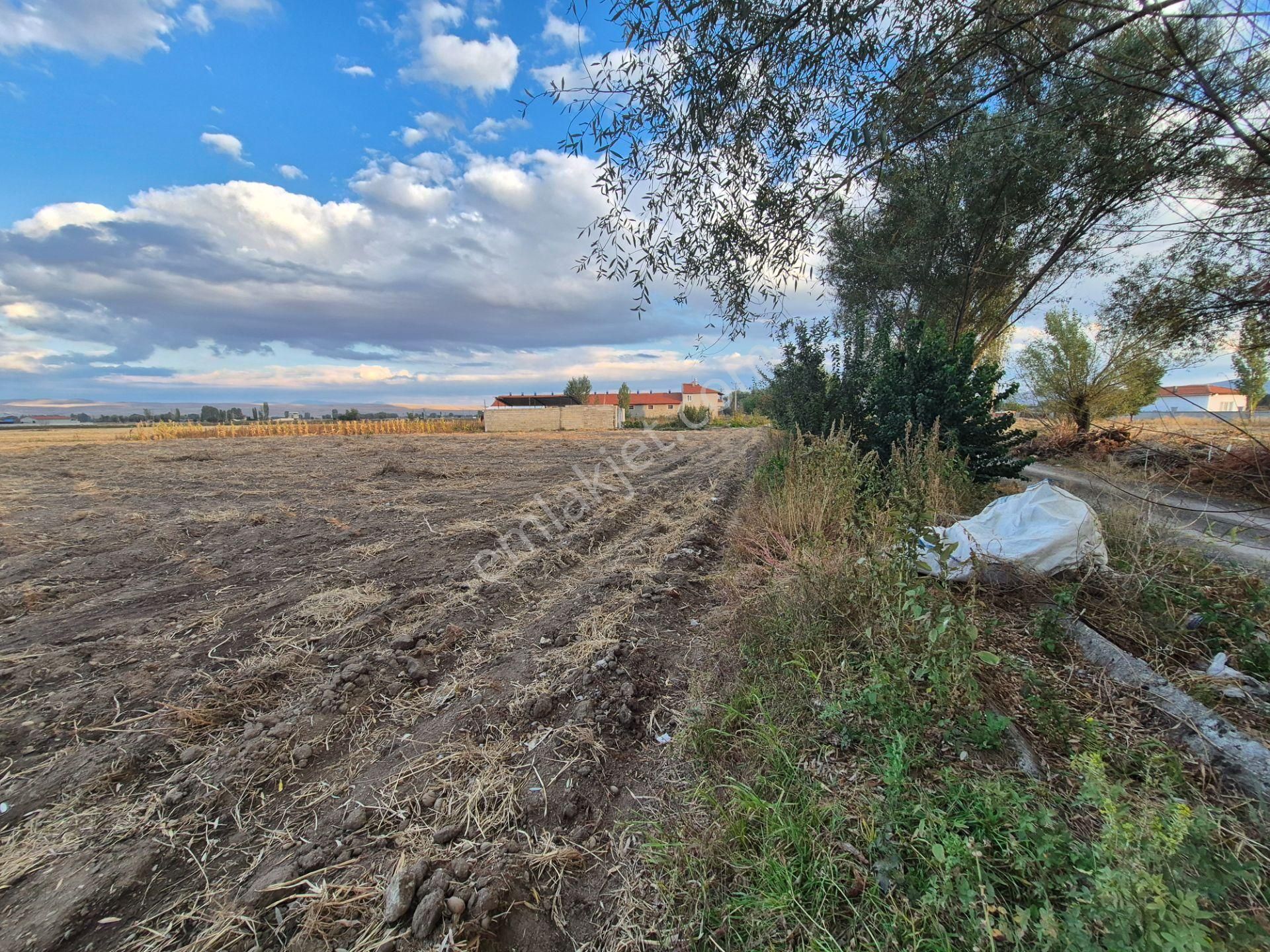 İlbey // Karayer Mevkiinde 4.837,45 M² Kuyulu Tarla - Görsel 2