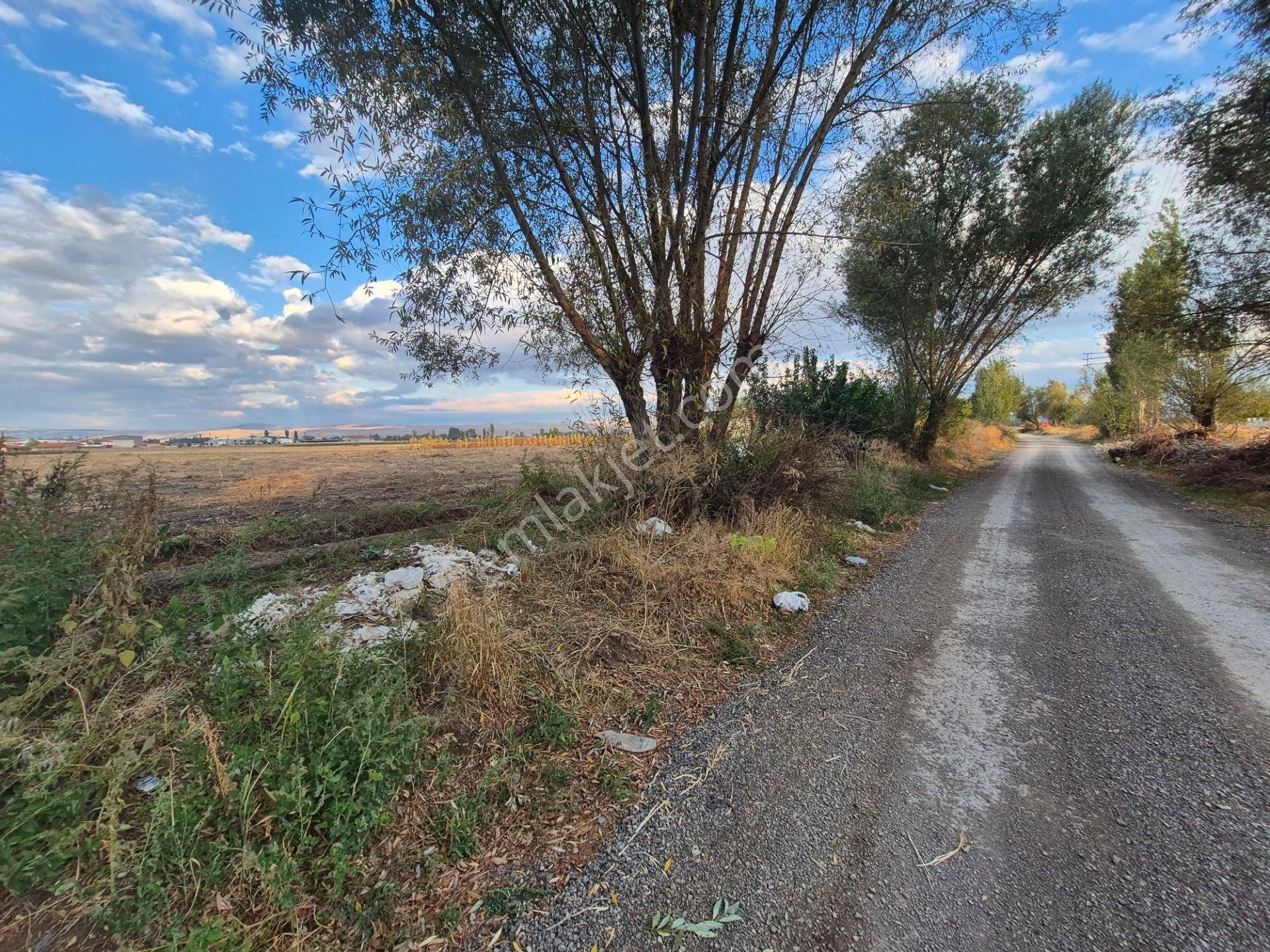 İlbey // Karayer Mevkiinde 4.837,45 M² Kuyulu Tarla - Görsel 5