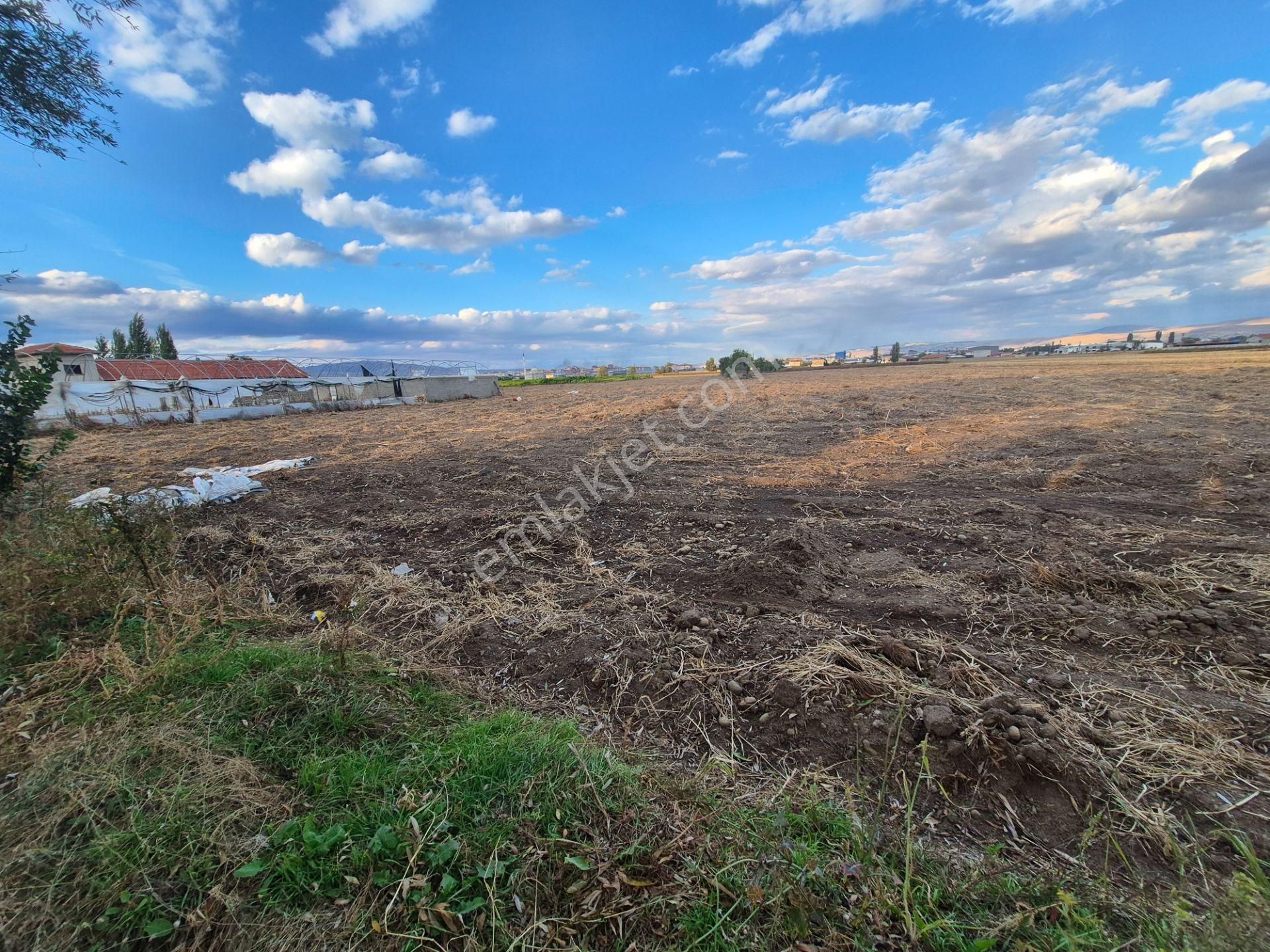 İlbey // Karayer Mevkiinde 4.837,45 M² Kuyulu Tarla - Görsel 3