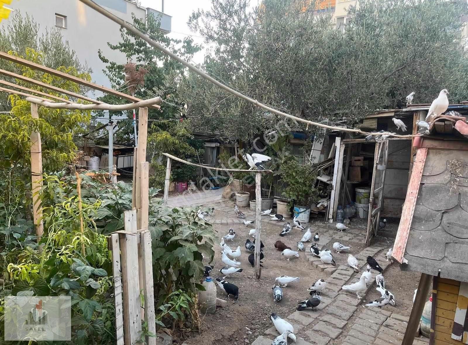 Manisa Akhisar Hürriyet Mahallesi'nde Satılık Arsa - Görsel 3