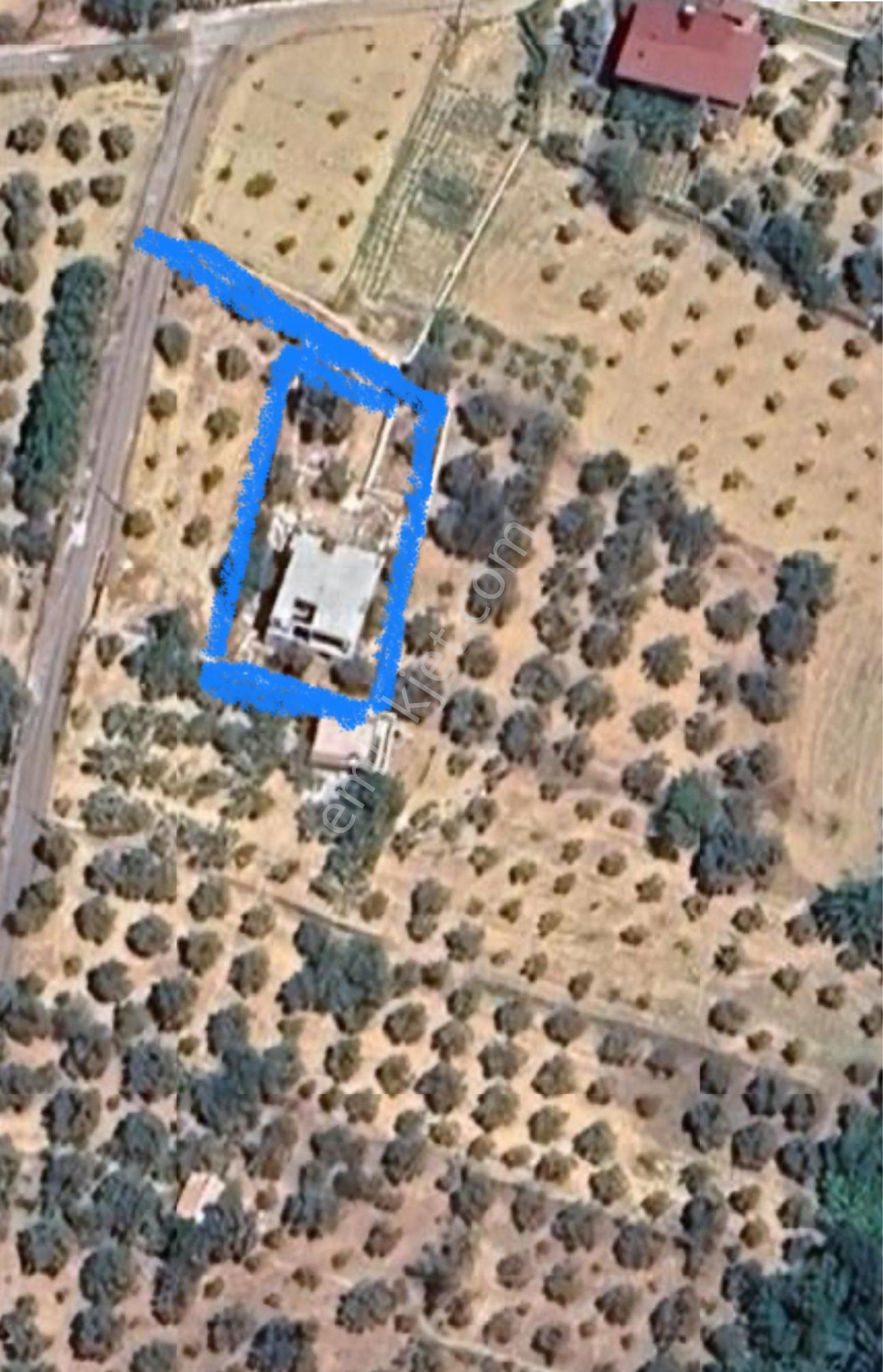 Çok Acill Sahibinden Satılık Urla Taşı Ev Ve Bahçe